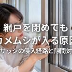 網戸を閉めてもカメムシが入る原因 窓サッシの侵入経路と隙間対策